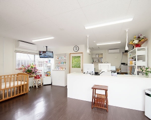 名護中央薬局　おおにし店 内観