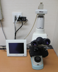 杉本クリニック泌尿器科・皮膚科 設備